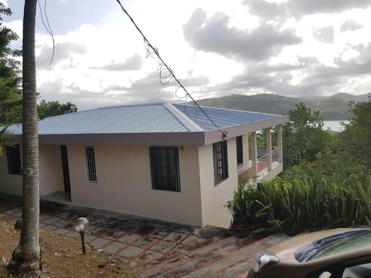Top Hill Hostel- Martinique- Auberge Dortoir Trinite  Esterno foto